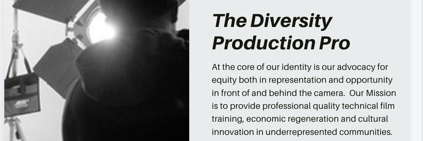 The Diversity Production Pro banner