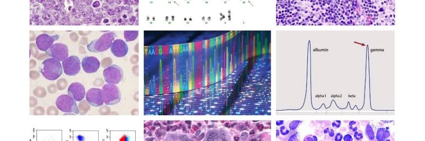 Unidad Académica de Hematología's banner