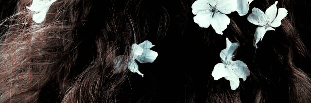 𝐬𝐞𝐧𝐚𝐭𝐨𝐫 banner