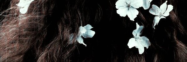SEXUALP0LITICS Profile Banner
