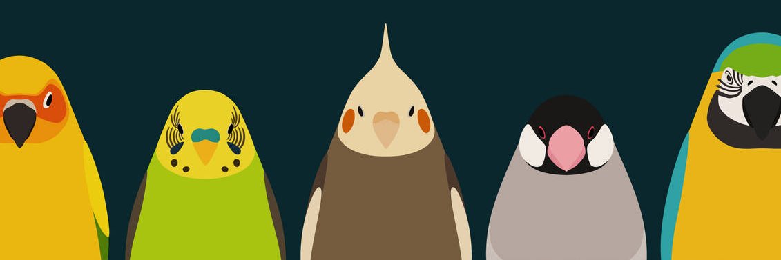 hatiware0125's profile banner image