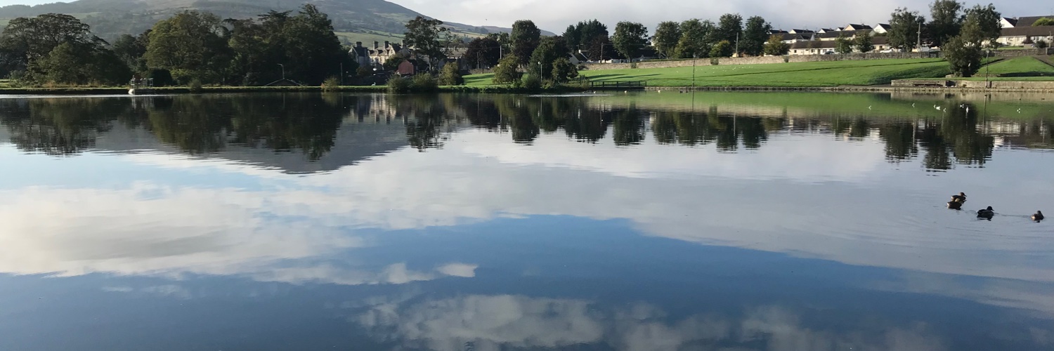 Jacqueline Harrett banner