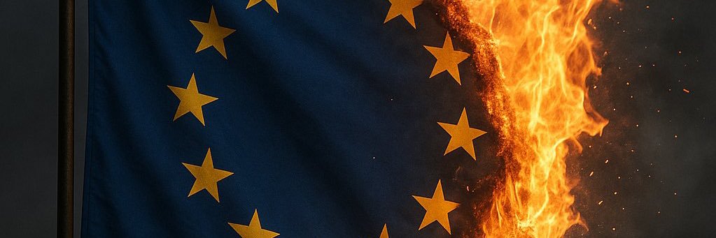 D v D banner