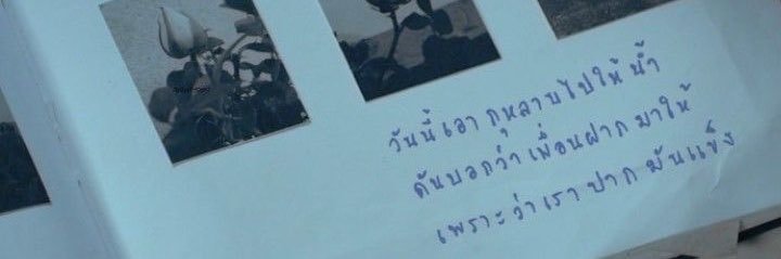 พนัส banner