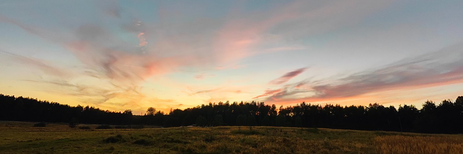 Jacek Studzinski banner