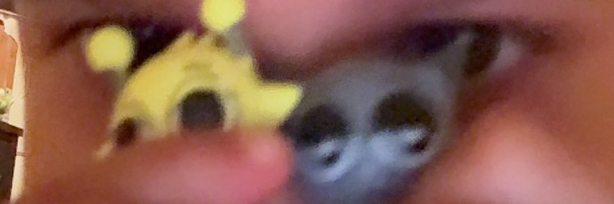 WatsonMarlin's profile banner image