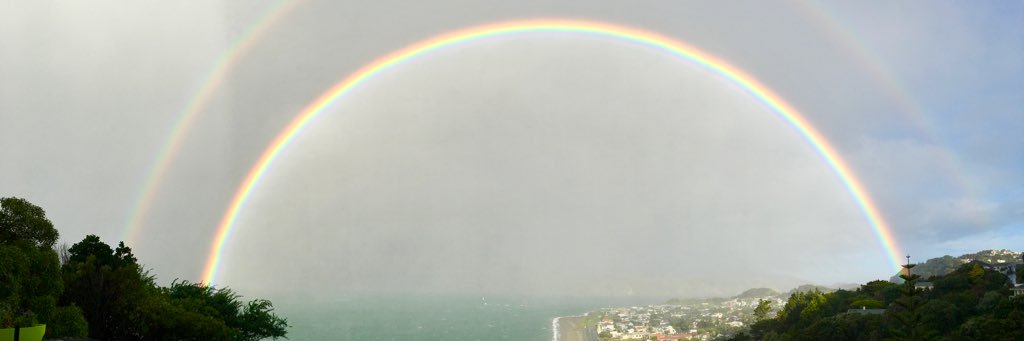 Jude Adamson *Free Palestine* 💔🍉🏳️‍⚧️🌈 banner