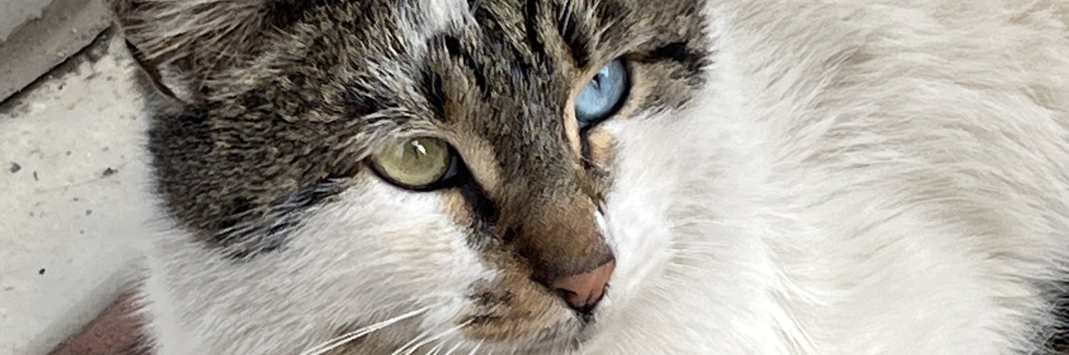 bsradn_'s profile banner image