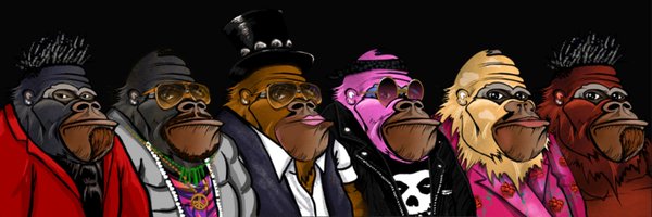0xBoB_ Profile Banner