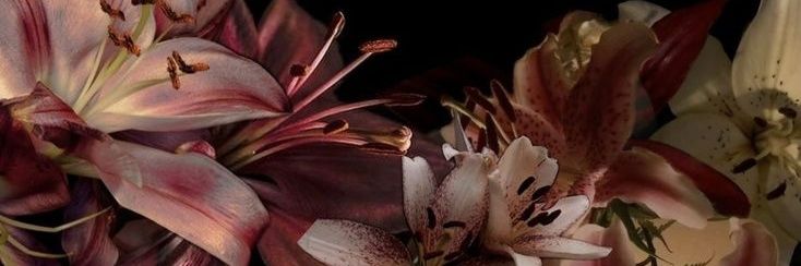 𝓜.𐙚 | 𝓭𝓪𝔀𝓴𝓪 𝓮𝓻𝓪ও banner