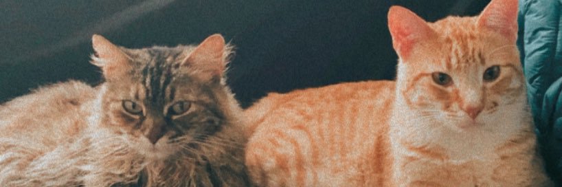 marihherrera's profile banner image