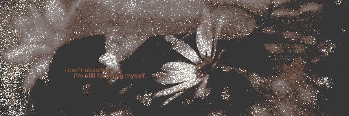 november ‍‍𝒹aisies. banner