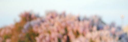 TayeMSmith's profile banner image