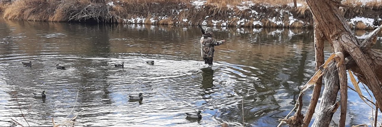 hunting الصيد بالبندقية banner