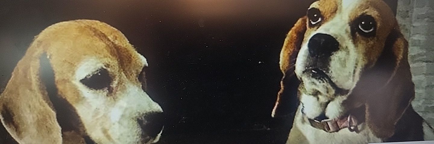 Melody banner