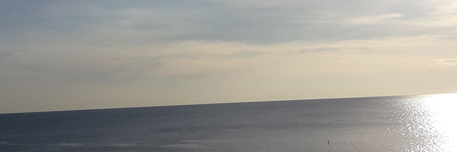 singhamorakot's profile banner image
