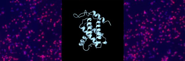 RadrTek Profile Banner
