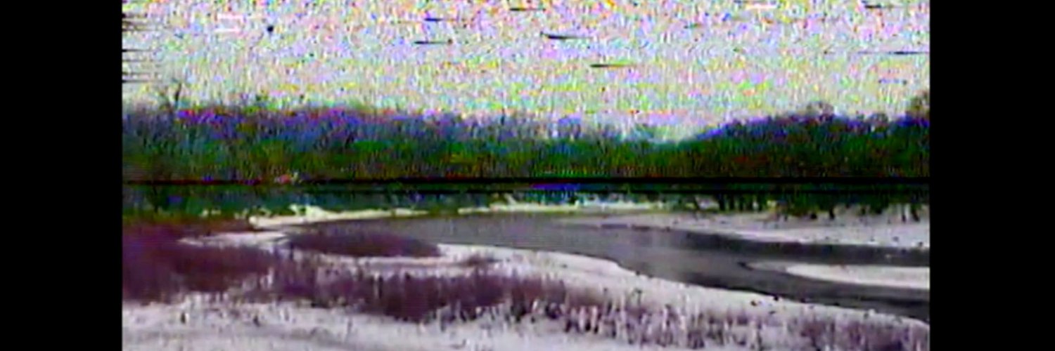 trees banner