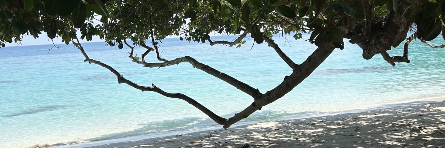 100visages 🎭 ۞ banner