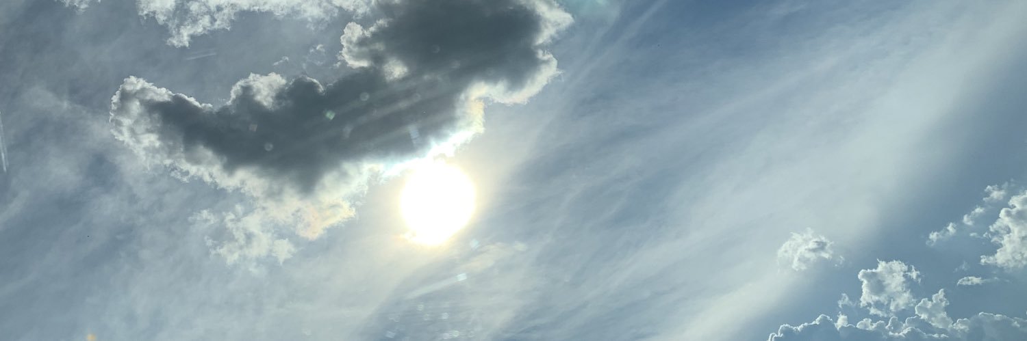 Flora ✨🦊 banner