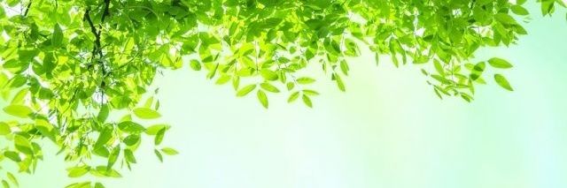 pokitolopez's profile banner image