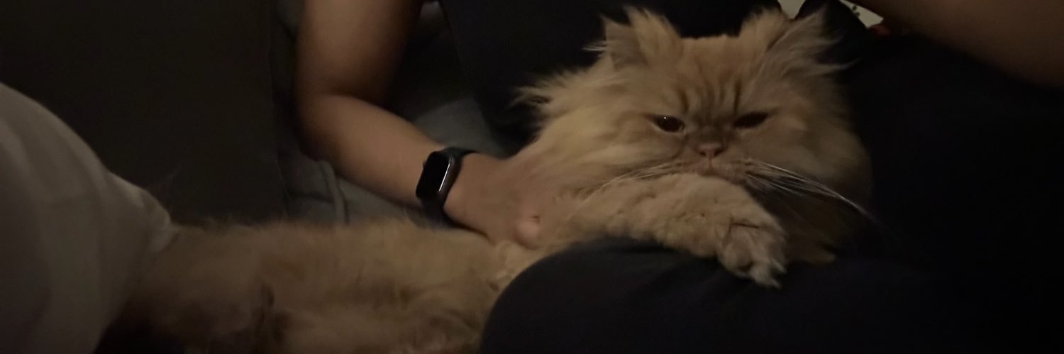 ˗ˋˏ A ˎˊ˗ banner