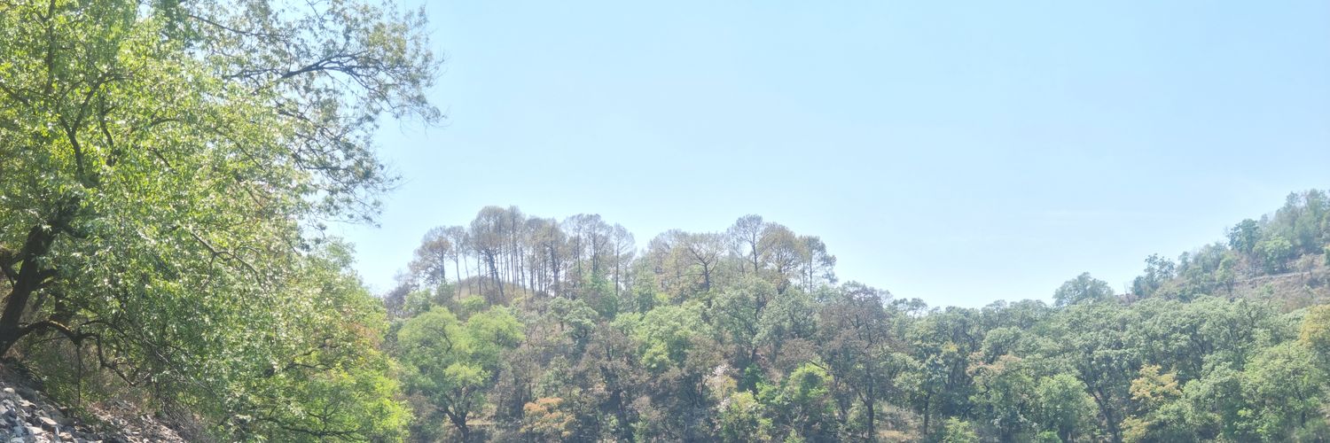 Sampamson's profile banner image