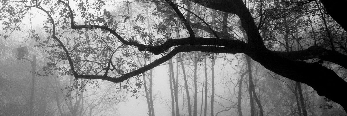 whereisprongs's profile banner image
