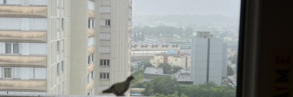 1ti1vomieuke2tu Profile Banner