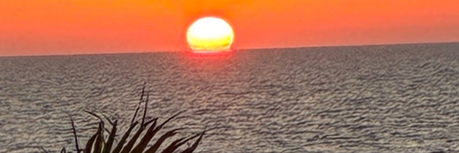 Melissampcm's profile banner image