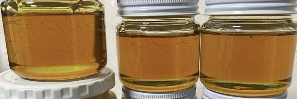 Osu673497 Profile Banner