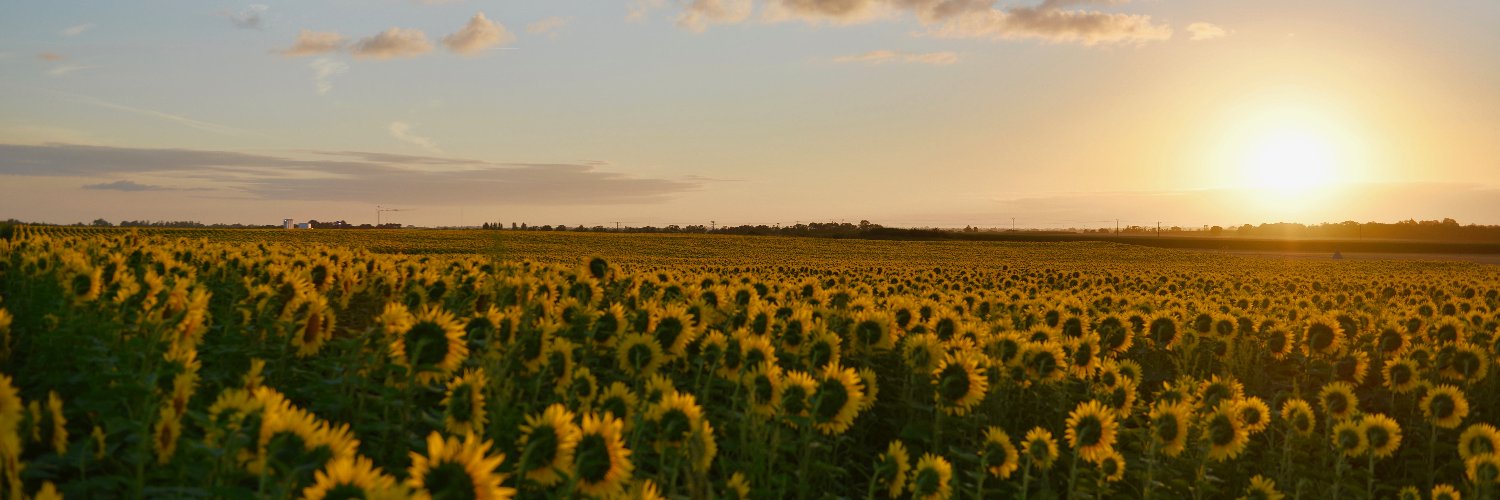 kaniv83's profile banner image