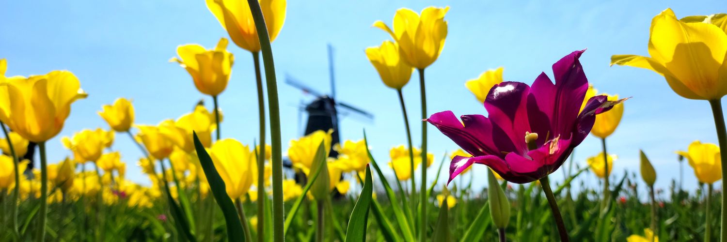 Matt Witkos Reporter banner