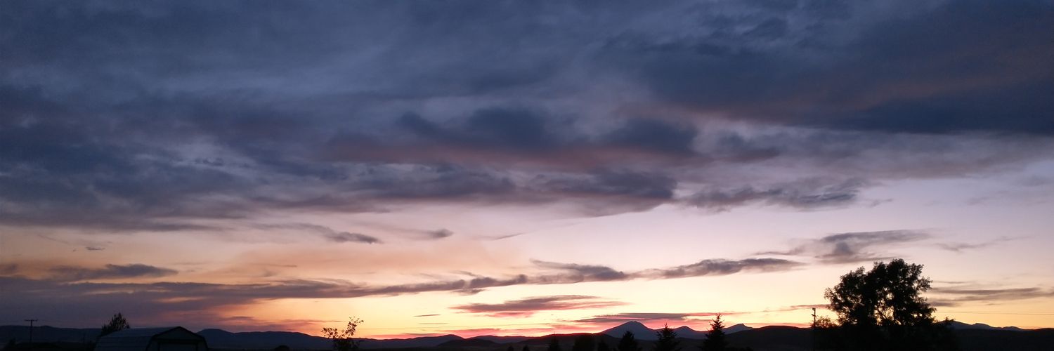 KimChism7's profile banner image