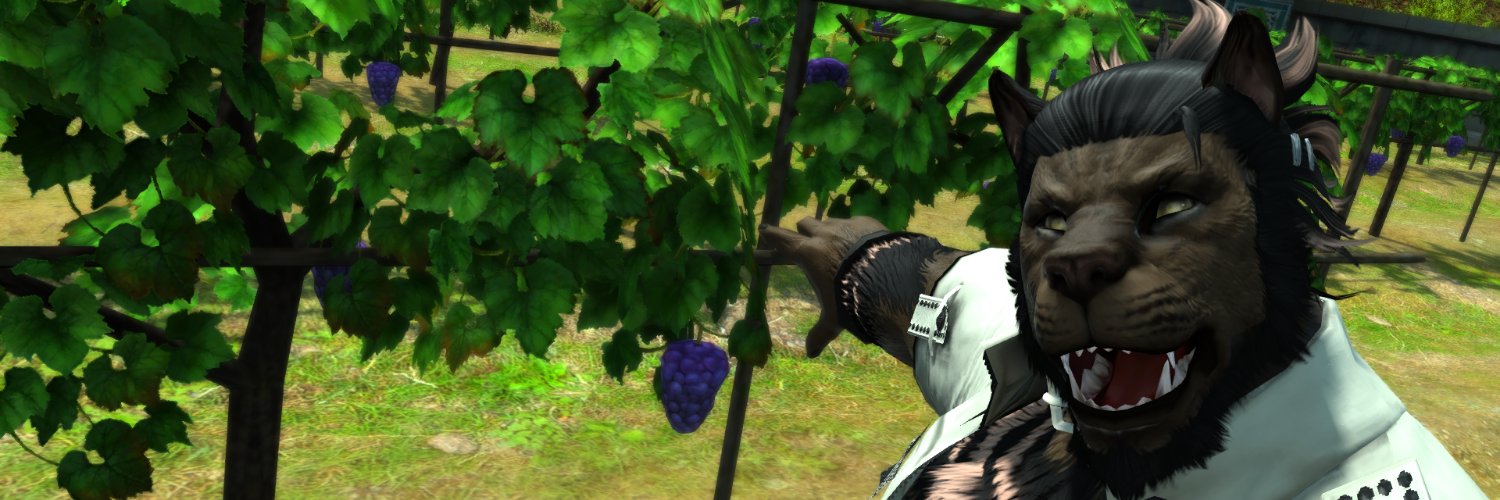 CaeliMors's profile banner image