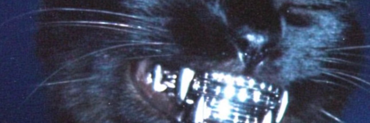 sydneethekidd's profile banner image