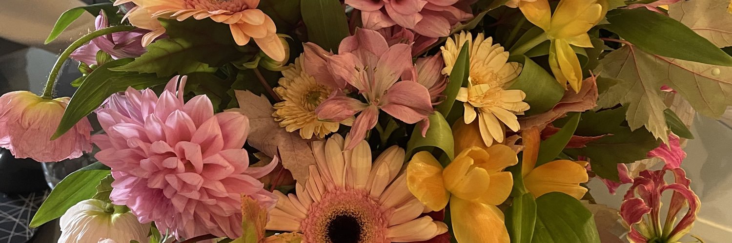 roseee_z's profile banner image