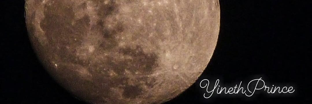 YinethPrince's profile banner image