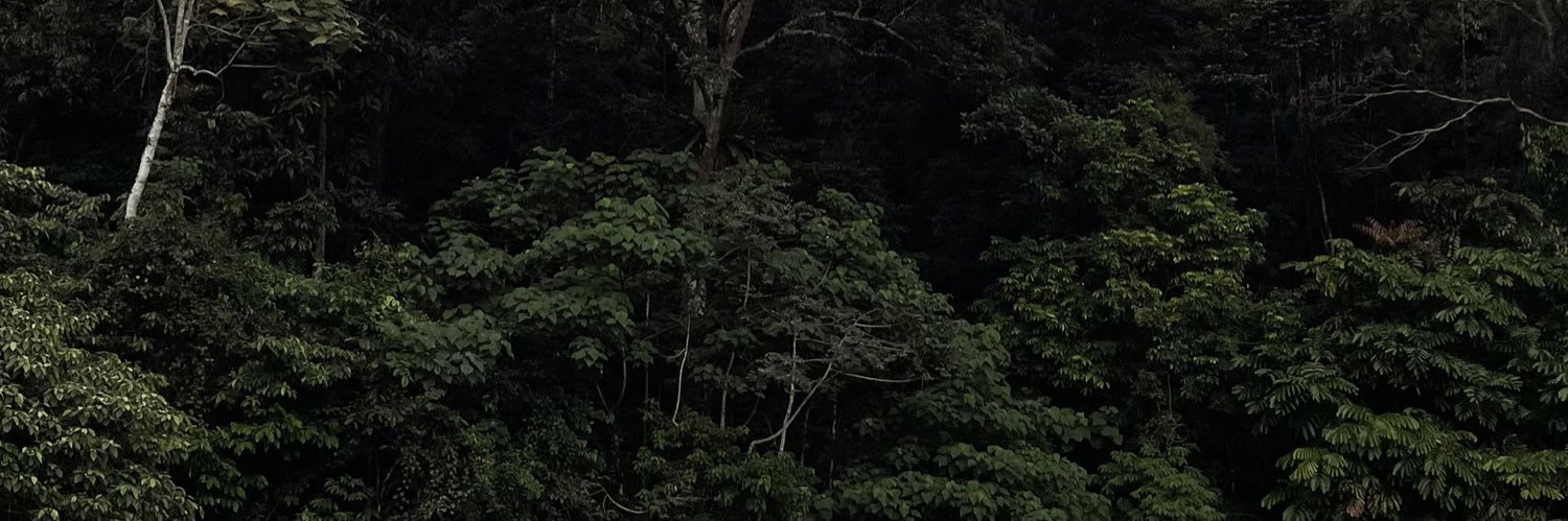 JazleneTeh's profile banner image