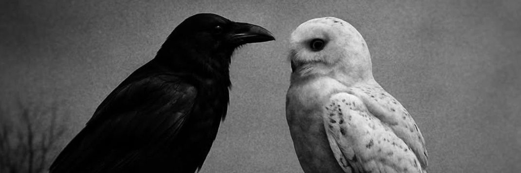 TheBwitchNEro__'s profile banner image