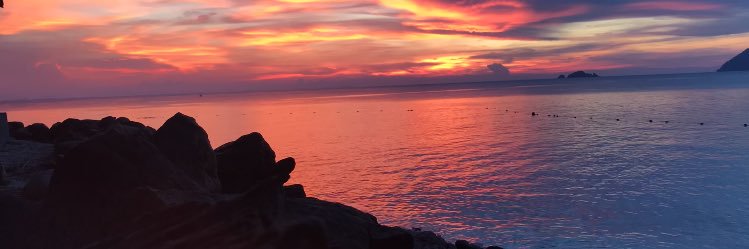 natashazman's profile banner image