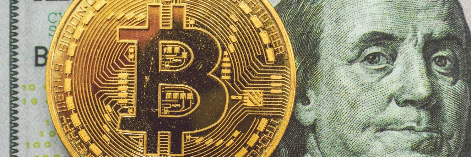 CryptoFinboy's profile banner image