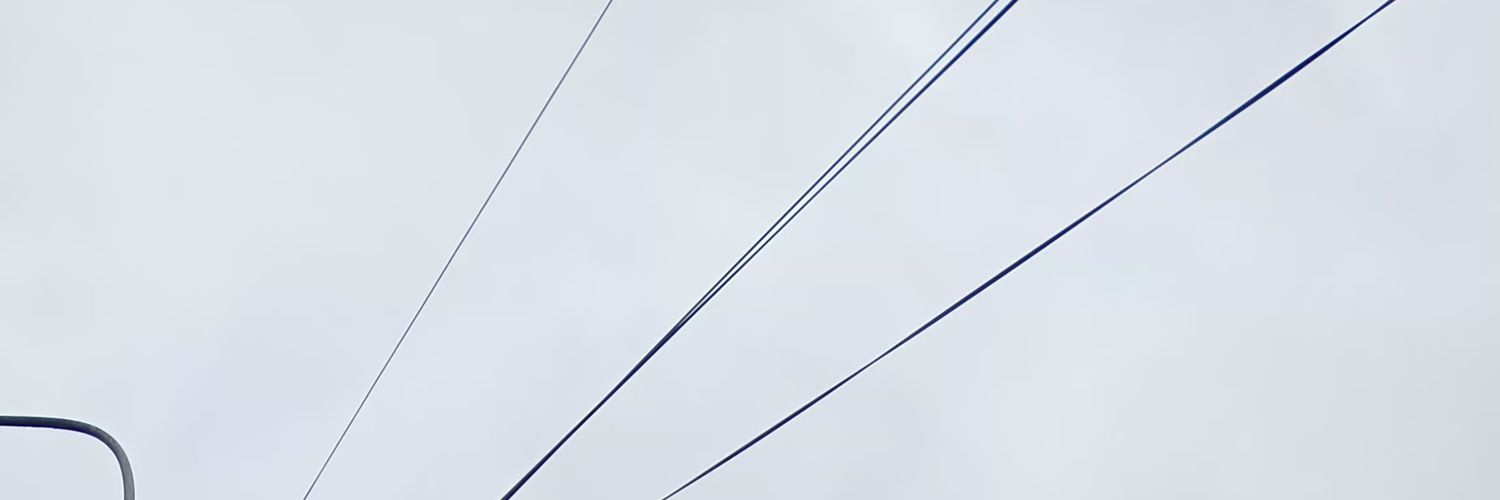 Natulichka_ge's profile banner image