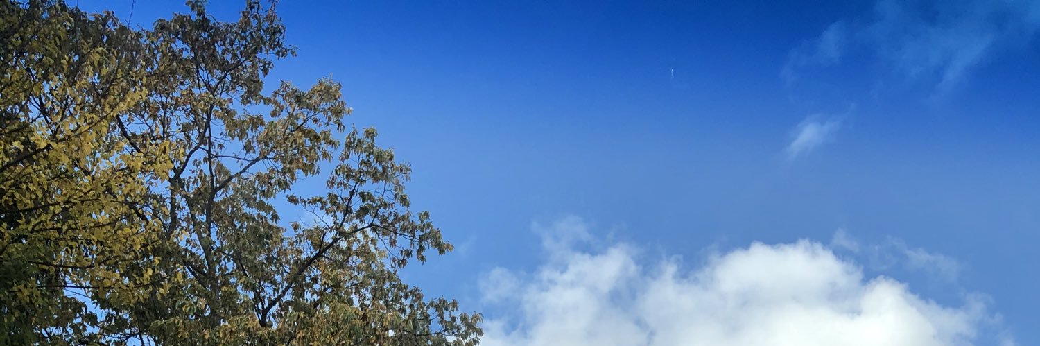 sammyhast's profile banner image