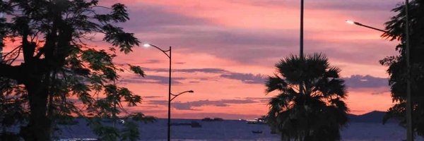 livyBitget Profile Banner
