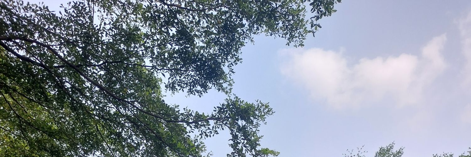 Kims11211's profile banner image