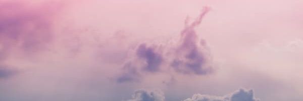 RisingSpice's profile banner image