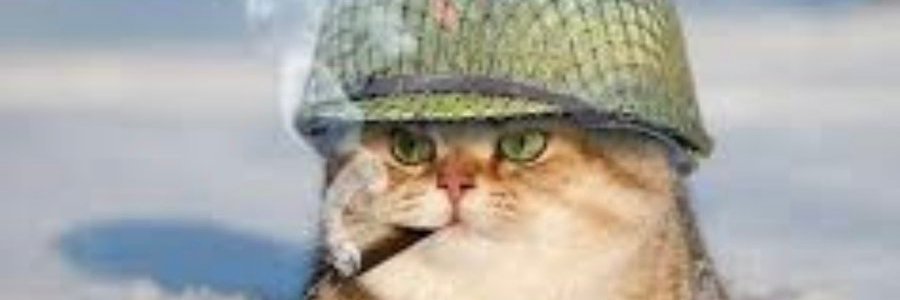 J. like JJ 🇫🇷 🇺🇦 banner