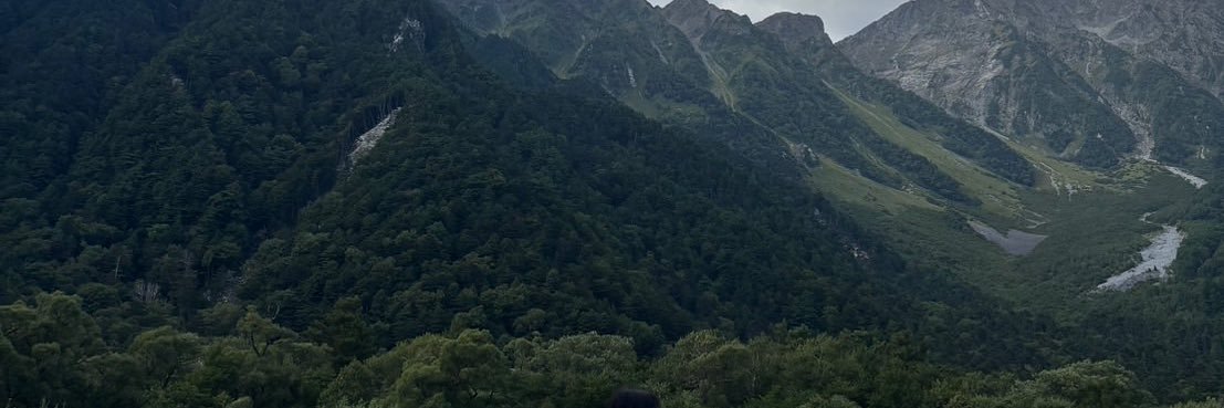 メタリン@埋め卓くん banner