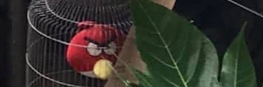 G banner